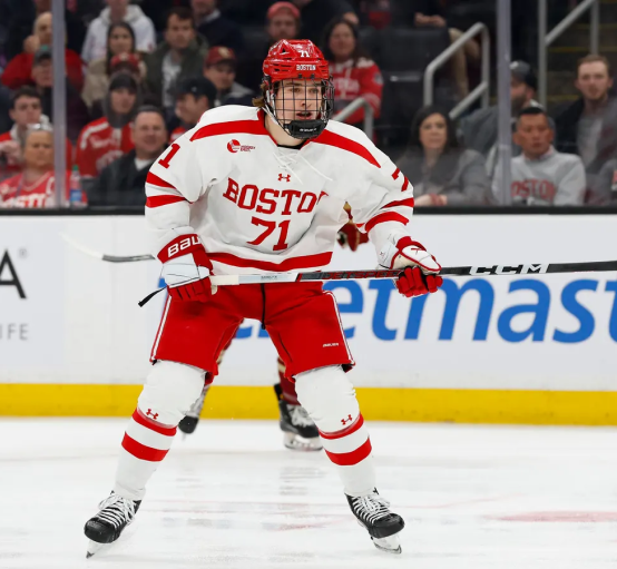 Man playing ice hockey